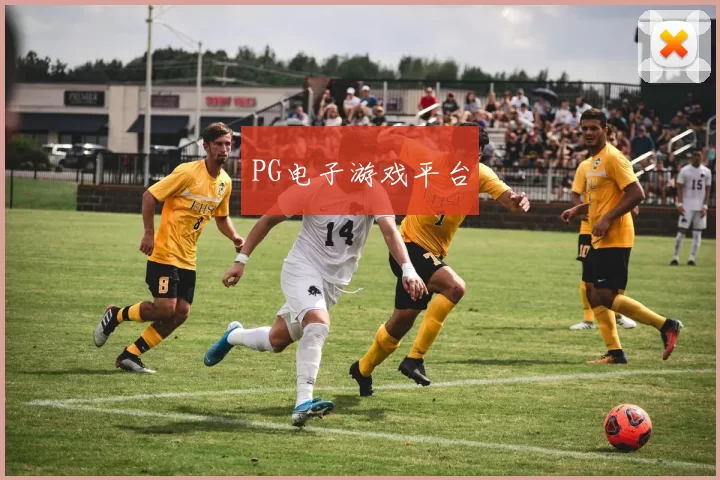 PG电子游戏平台