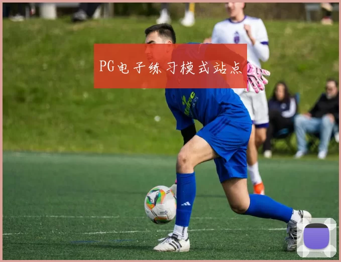 PG电子练习模式站点