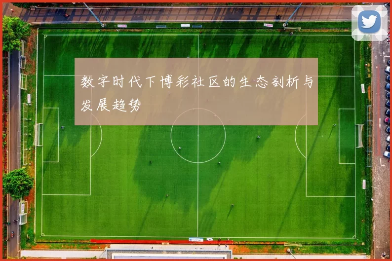 数字时代下博彩社区的生态剖析与发展趋势