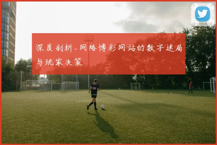 深度剖析_网络博彩网站的数字迷局与玩家决策