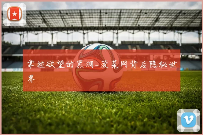 掌控欲望的黑洞_菠菜网背后隐秘世界