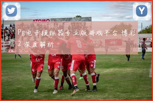 Pg电子模拟器专业版游戏平台 博彩2 深度解析