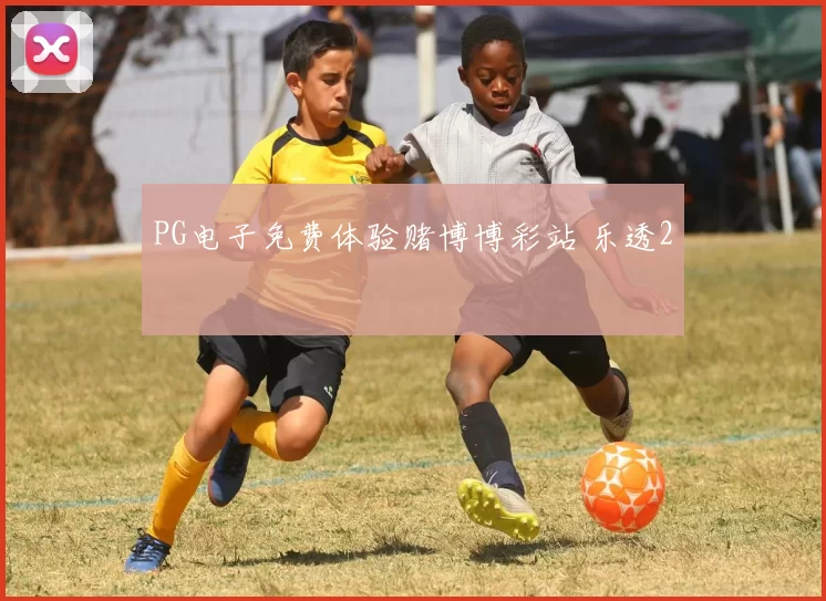 PG电子免费体验赌博博彩站 乐透2