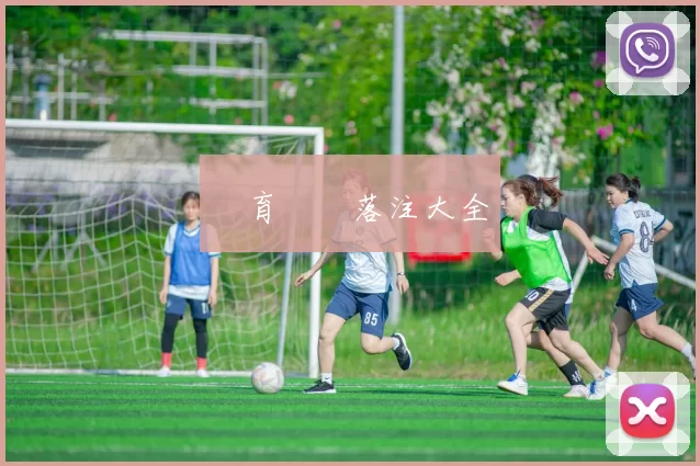 體育運動落注大全