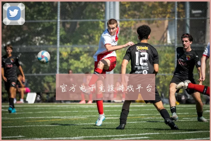 官方电子竞技游戏平台