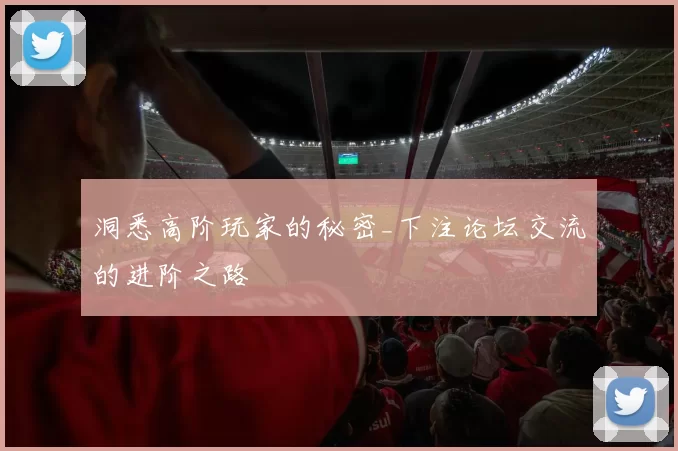 洞悉高阶玩家的秘密_下注论坛交流的进阶之路