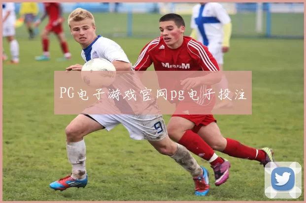 PG电子游戏官网pg电子投注