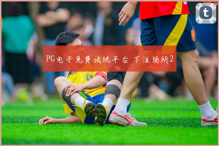 PG电子免费试玩平台 下注场所2