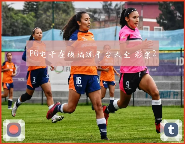 PG电子在线试玩平台大全 彩票2