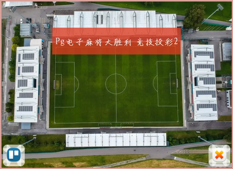 Pg电子麻将大胜利 竞技投彩2
