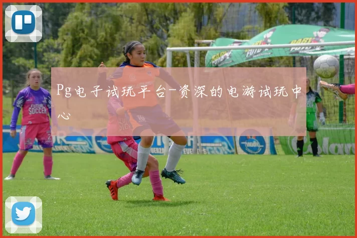 Pg电子试玩平台-资深的电游试玩中心