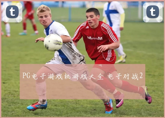 PG电子游戏机游戏大全 电子对战2