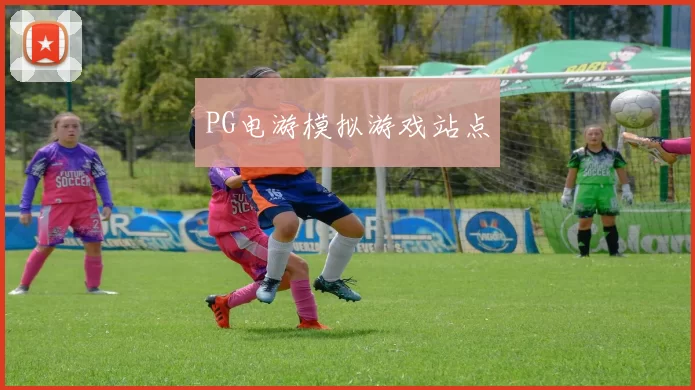 PG电游模拟游戏站点