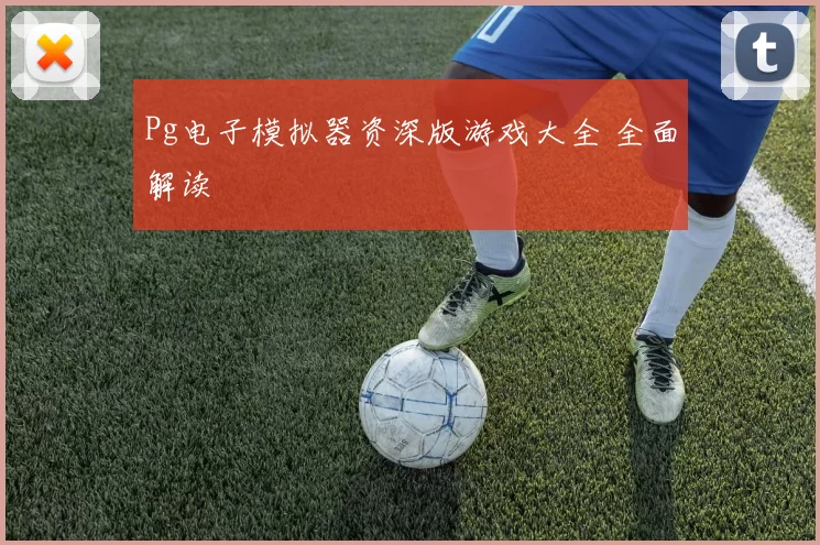 Pg电子模拟器资深版游戏大全 全面解读