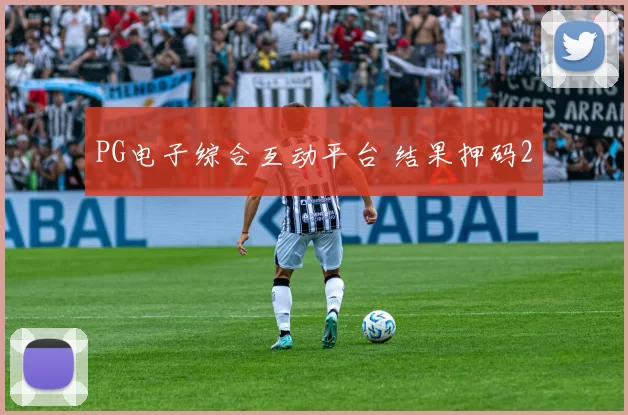 PG电子综合互动平台 结果押码2