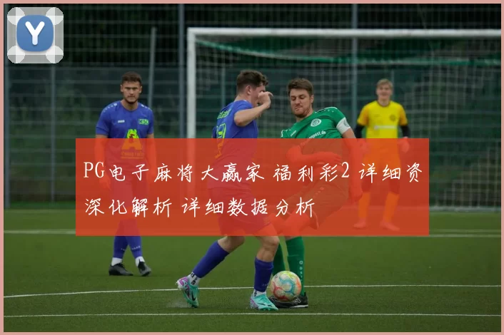 PG电子麻将大赢家 福利彩2 详细资深化解析 详细数据分析