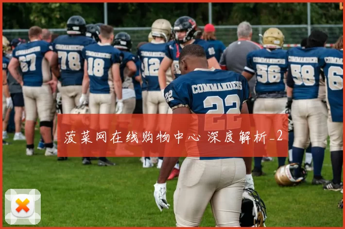 菠菜网在线购物中心 深度解析_2