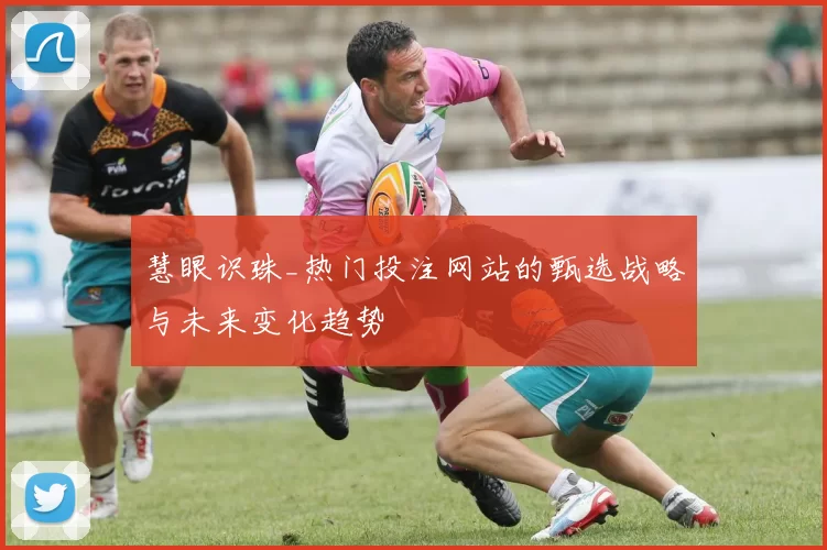 慧眼识珠_热门投注网站的甄选战略与未来变化趋势