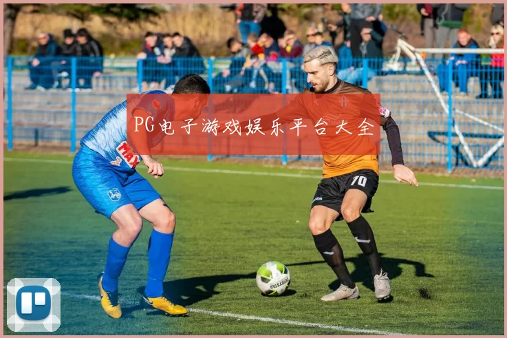 PG电子游戏娱乐平台大全