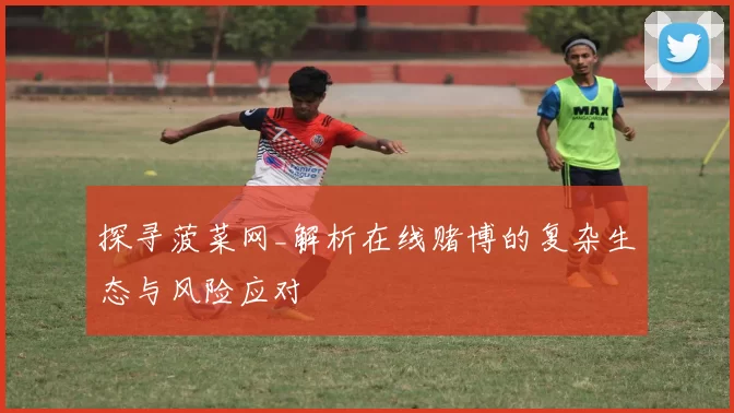 探寻菠菜网_解析在线赌博的复杂生态与风险应对